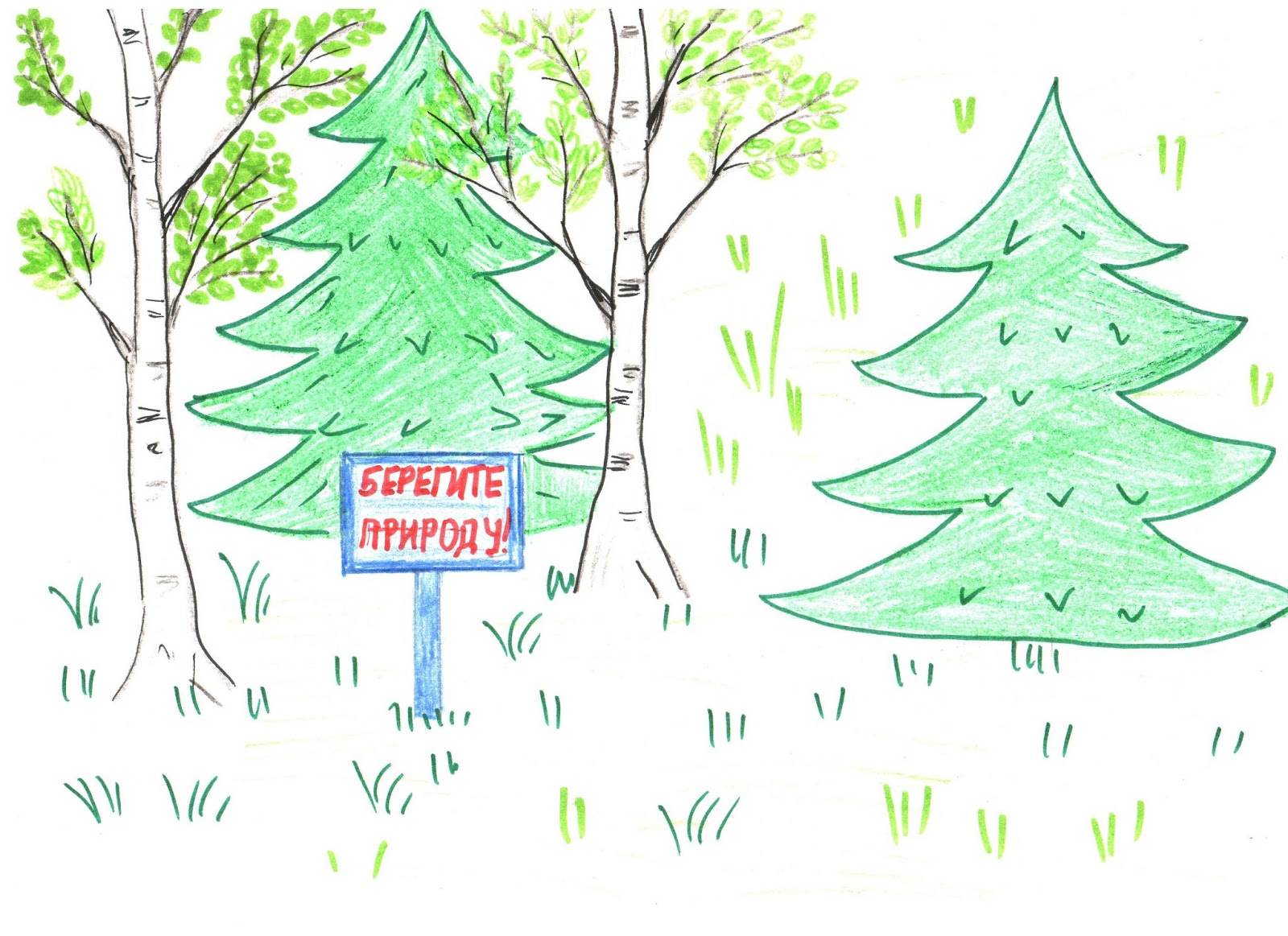 Рисунки леса для срисовки